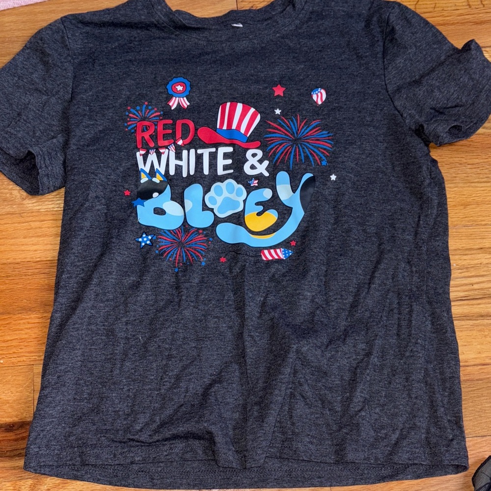 Kids Bluey Graphic T-Shirt - Gray